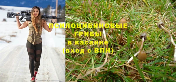 а пвп мука Алзамай